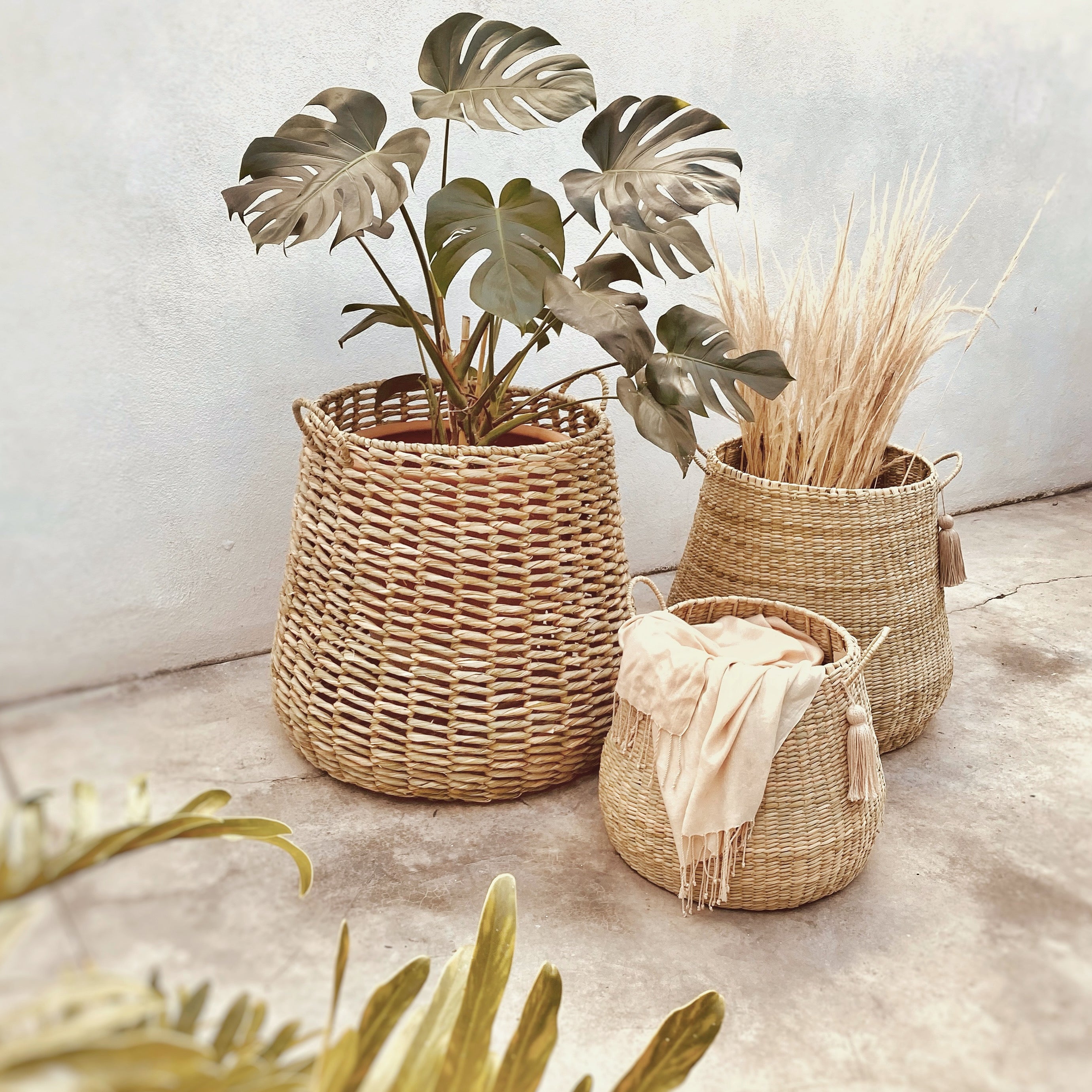 IRRIS - CESTO DE CHUSPATA