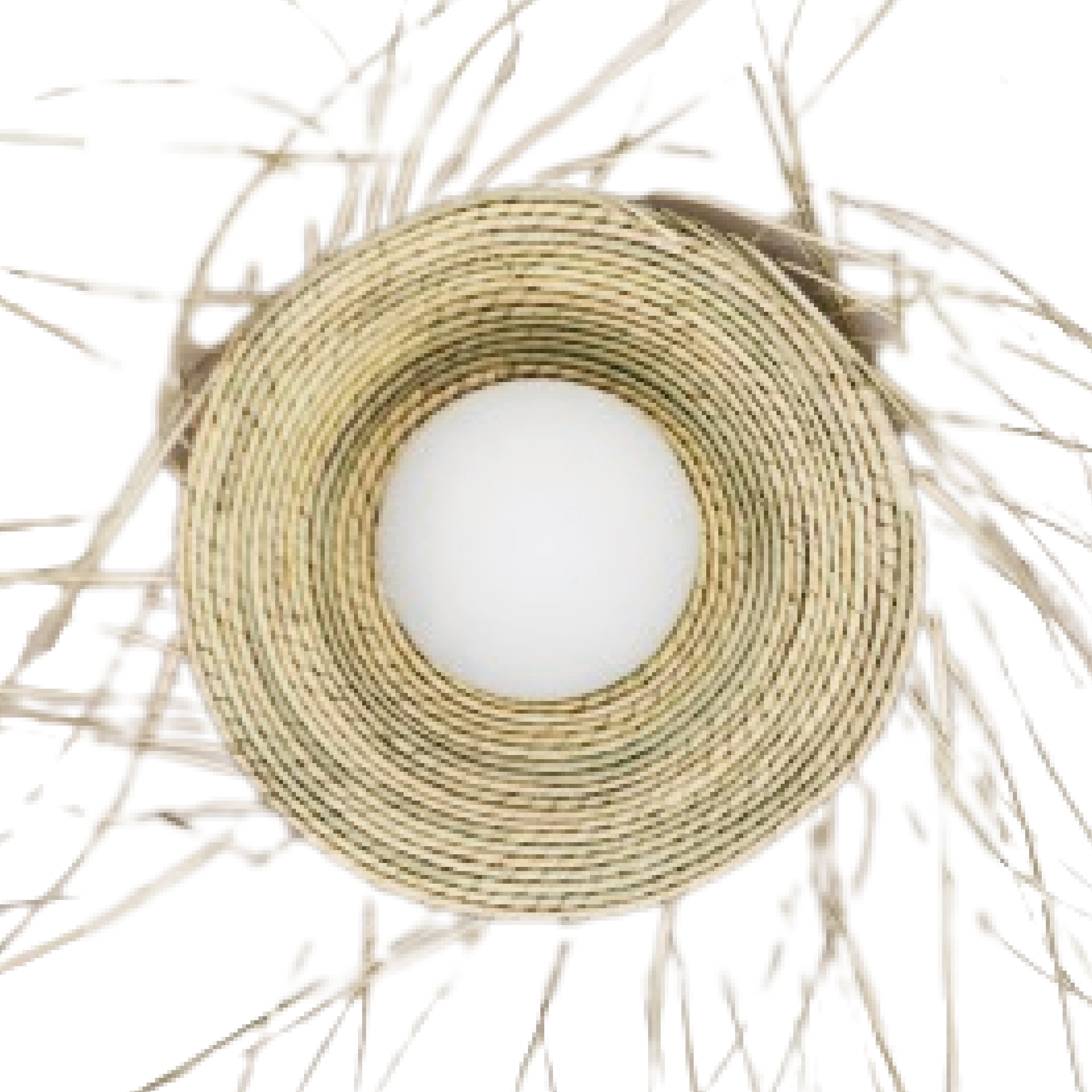 YUCCA - LÁMPARA DE PARED DE PALMA