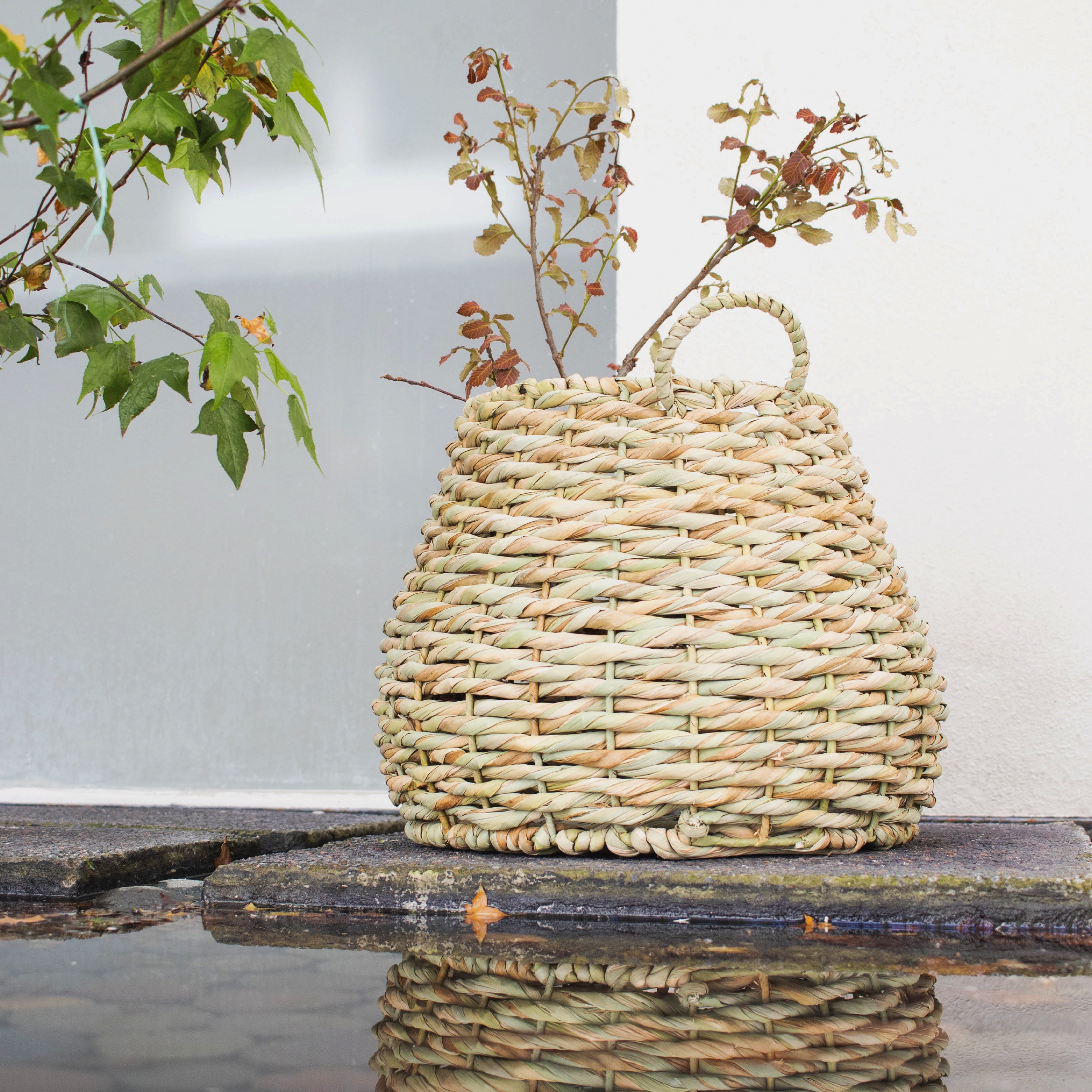 BOO - CESTO DE CHUSPATA