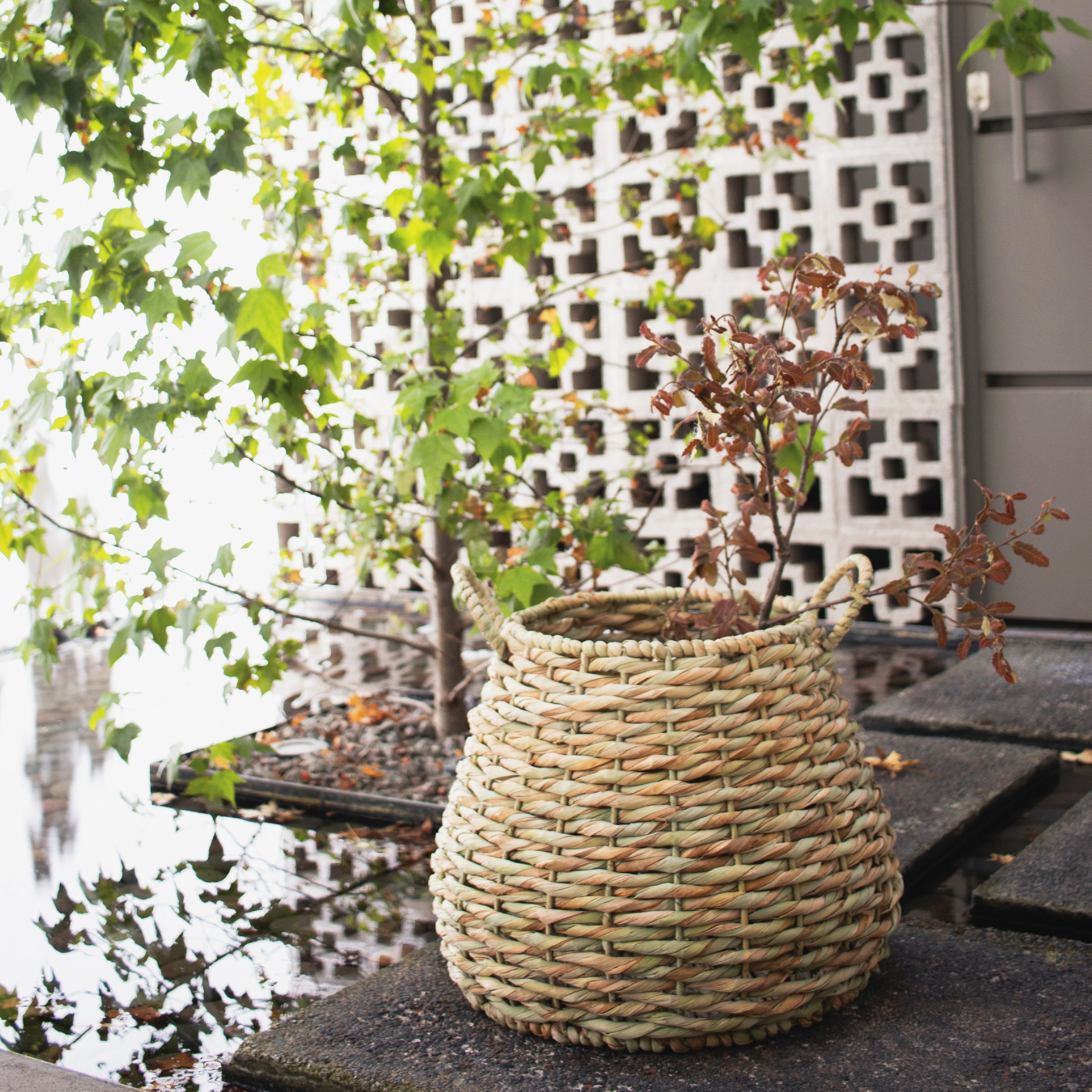 BOO - CESTO DE CHUSPATA