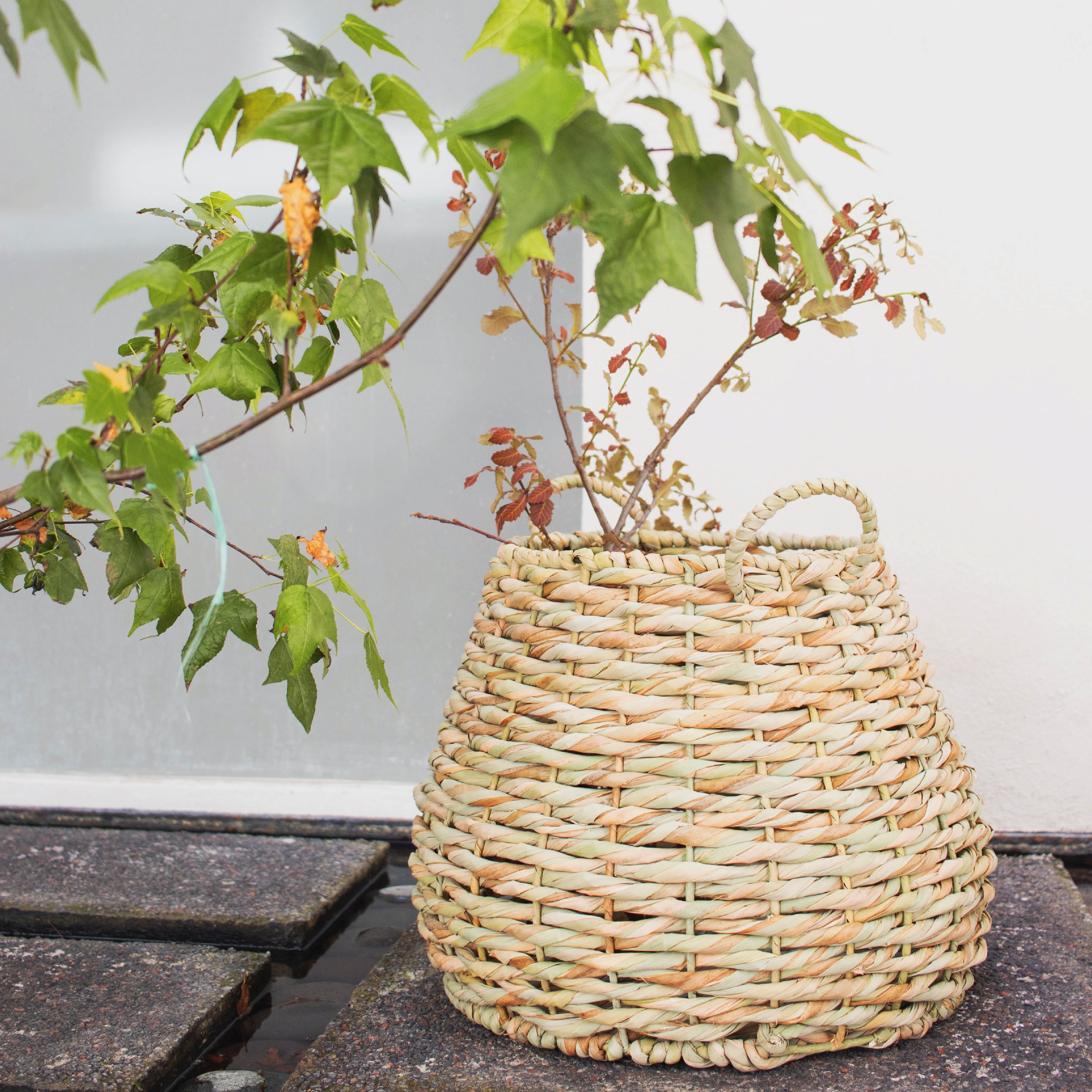 BOO - CESTO DE CHUSPATA