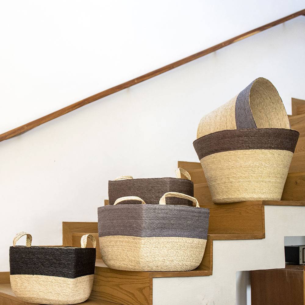 MUSAENDA - CESTO DE PALMA