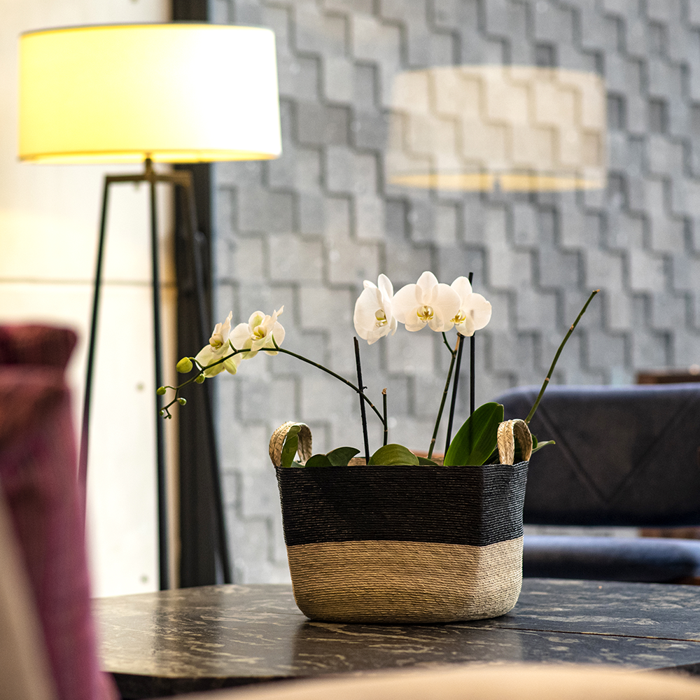 MUSAENDA - CESTO DE PALMA