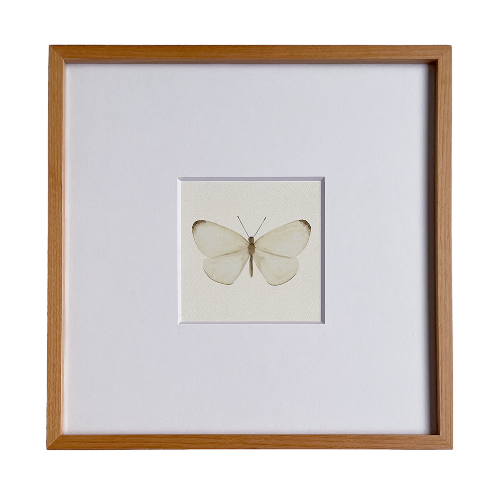 MARIPOSA KAIA - CUADRO DE ACUARELA