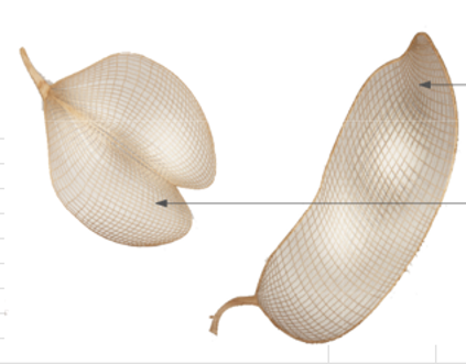 QFH623 - JUEGO DECORATIVO TEJIDO CON JACINTO TORCIDO