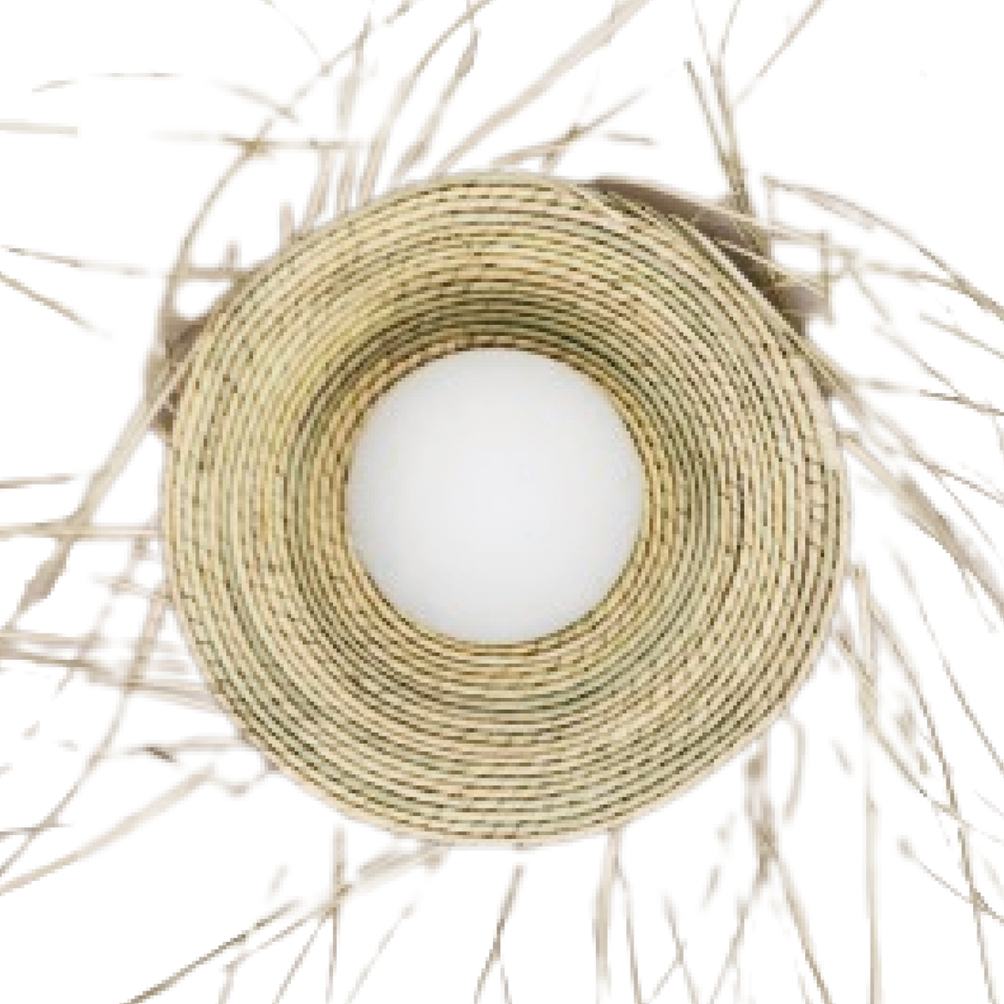 YUCCA - LÁMPARA DE PARED DE PALMA